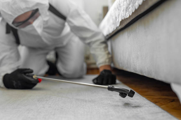 Professional Cockroach Control technician working in Gambier, OH