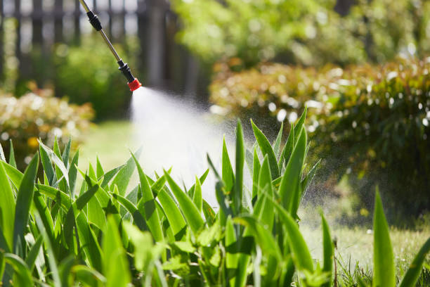 24/7 Emergency Cockroach Control experts in Gambier, OH